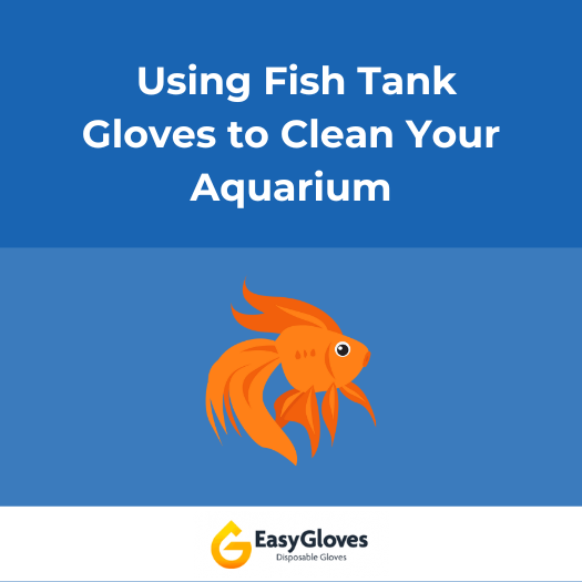 Using Fish Tank Gloves to Clean Your Aquarium
