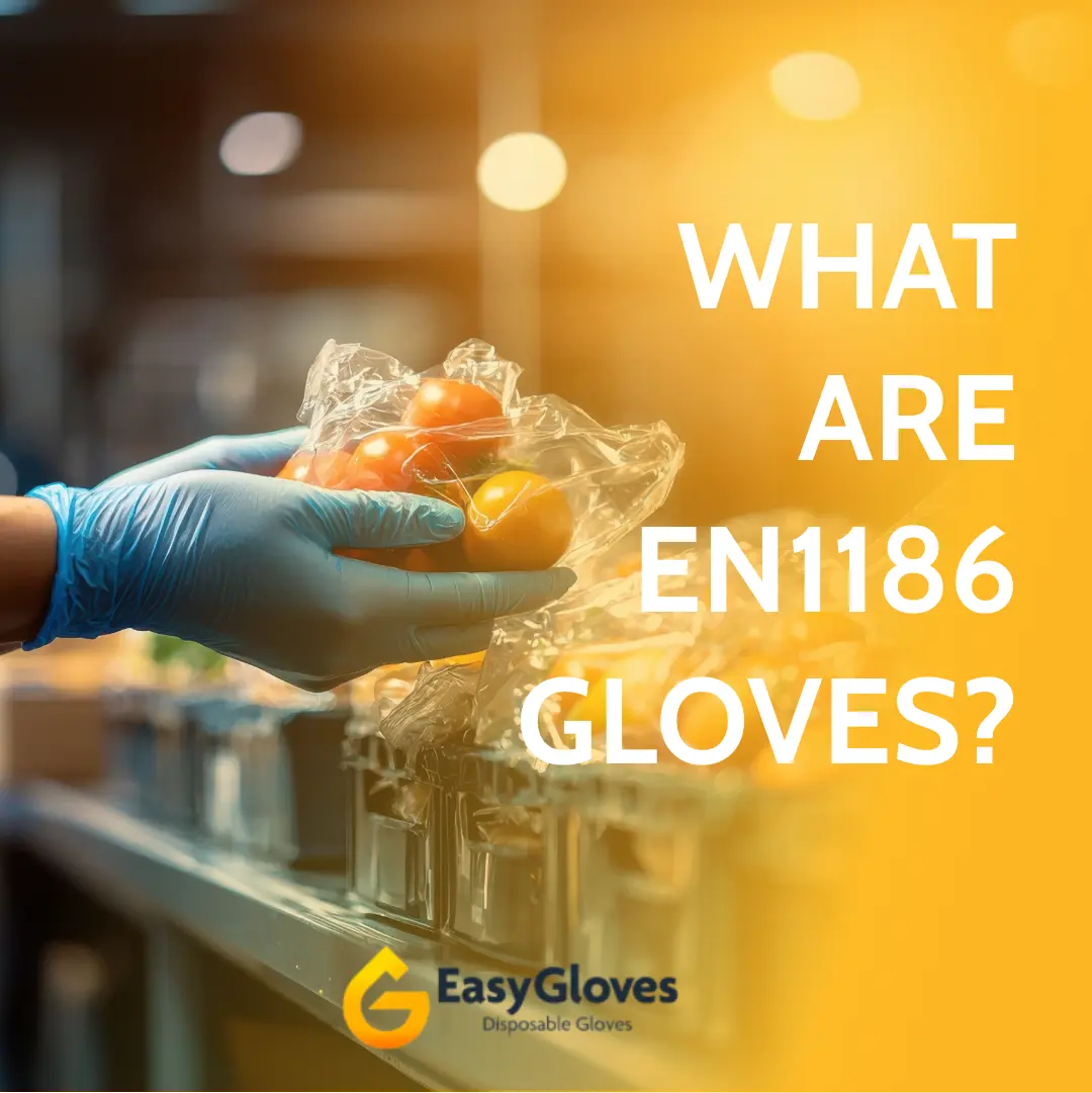 What are EN 1186 Gloves?