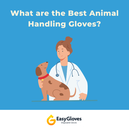 What are the Best Animal Handling Gloves?